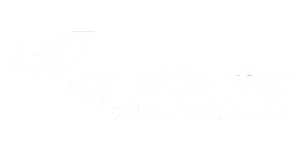 Digital Surfer